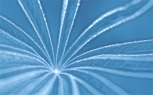 吉他谱分解节奏形怎么弹,分解和弦不一定要固定节奏