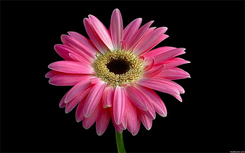 六线谱怎么看节奏,怎么看吉他谱?和弦图标示出来!